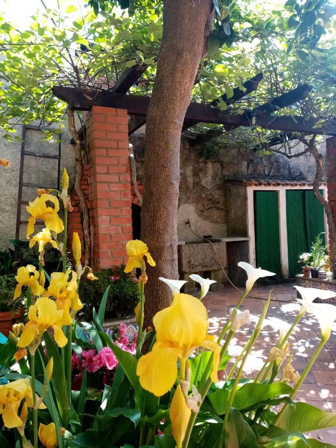 Privatunterkunft Nossa Casa Na Aldeia *